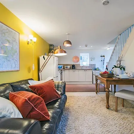 Snowy Owl *